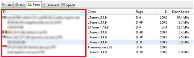 torrent software with vpn