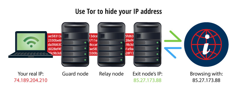 does tor browser hide ip