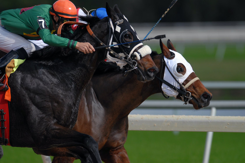 watch melbourne cup race live stream with vpn