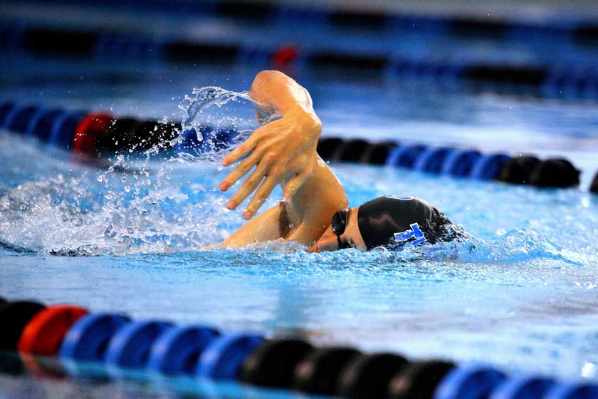 watch world aquatics championships online