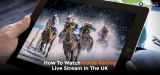 Watch Horse Racing Live Stream Free in the UK 2023