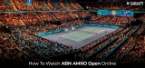 Watch ABN AMRO Tennis Open 2024 in the UK